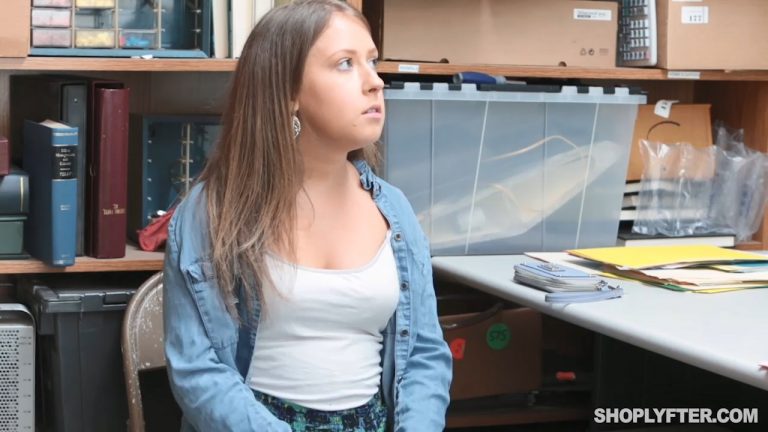 Case No. 1526784 – Petty Theft