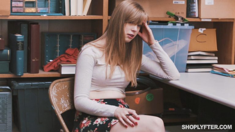 Case No. 5879624 – Theft (Repeat Offender)