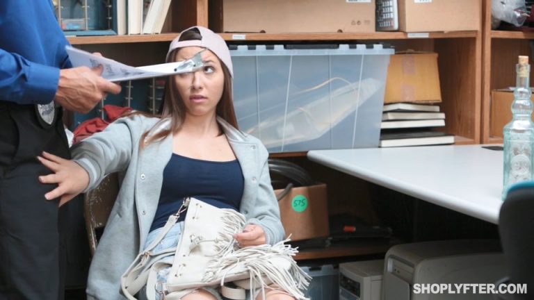 Case No. 8659125 – Theft/Possession